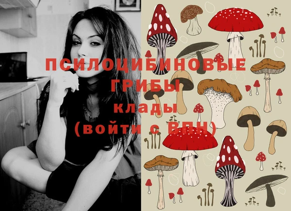 эйфоретик Алзамай
