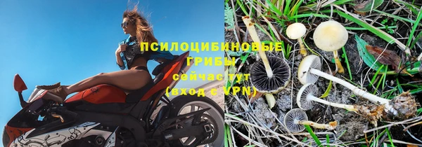 spice Алексеевка